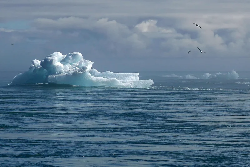 Klimawandel und Naturkatastrophen prägen das Jahr