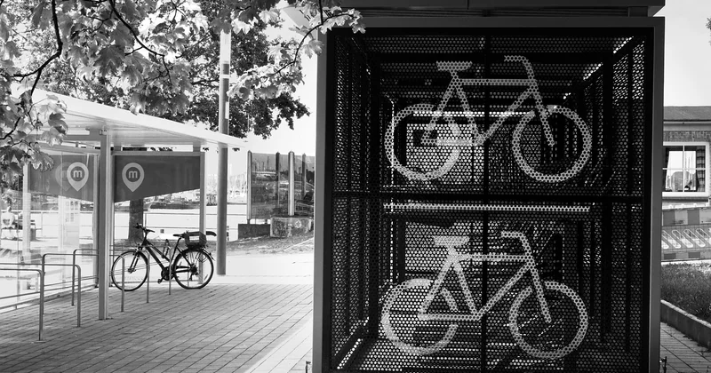 Bußgeld und Punkte: Was ein Verstoß kostet